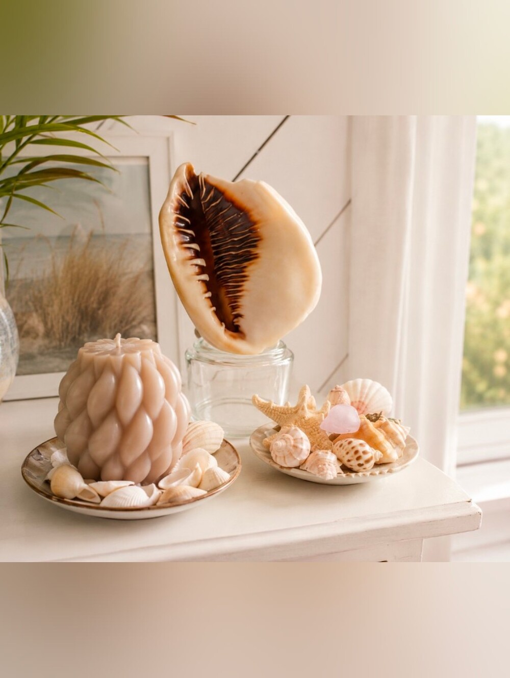 Coastal Large SeaShell, Candle, and Carved Shell in the Form of a Fish Dish